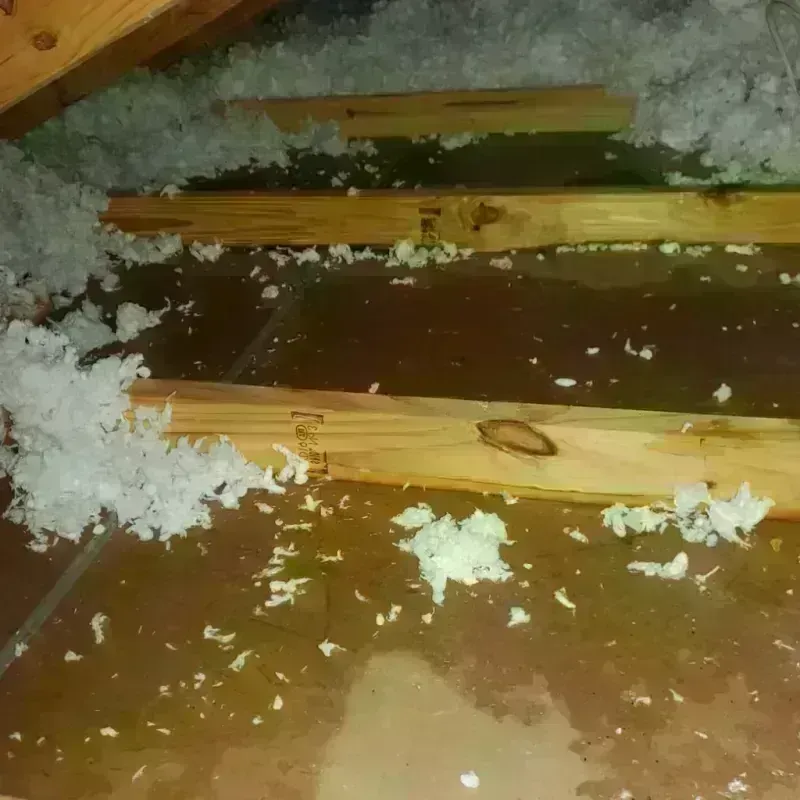 Attic Water Damage in Camarillo, CA